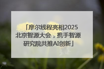 摩尔线程亮相2025北京智源大会，携手智源研究院共推AI创新