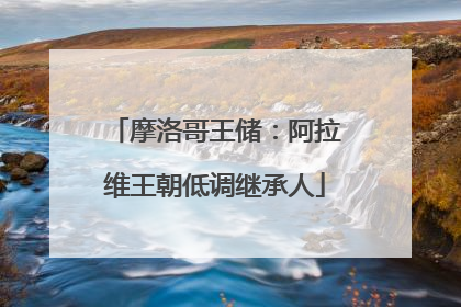 摩洛哥王储：阿拉维王朝低调继承人