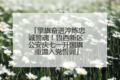 擎旗奋进淬炼忠诚警魂！鲁西新区公安庆七一升国旗 重温入党誓词