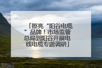 擦亮“阳谷电缆”品牌！市场监管总局到阳谷开展电线电缆专题调研