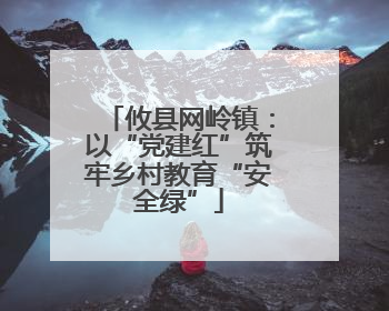 攸县网岭镇：以“党建红”筑牢乡村教育“安全绿”