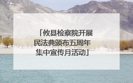 攸县检察院开展民法典颁布五周年集中宣传月活动
