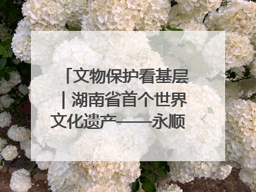文物保护看基层｜湖南省首个世界文化遗产——永顺老司城遗址