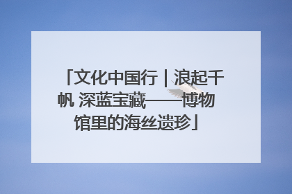 文化中国行｜浪起千帆 深蓝宝藏——博物馆里的海丝遗珍