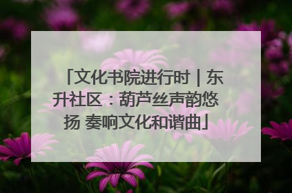 文化书院进行时｜东升社区：葫芦丝声韵悠扬 奏响文化和谐曲