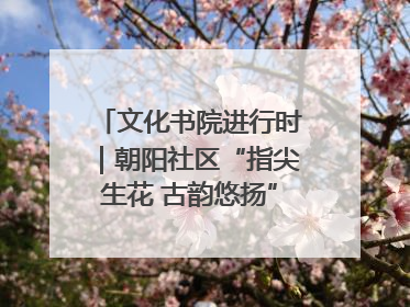 文化书院进行时｜朝阳社区“指尖生花 古韵悠扬”公益课堂开课了