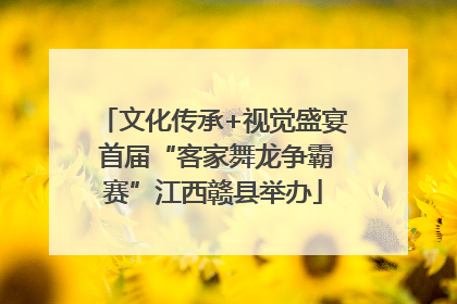文化传承+视觉盛宴 首届“客家舞龙争霸赛”江西赣县举办