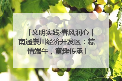 文明实践·春风润心｜南通崇川经济开发区：粽情端午，童趣传承