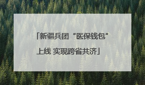 新疆兵团“医保钱包”上线 实现跨省共济