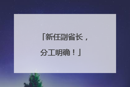 新任副省长，分工明确！