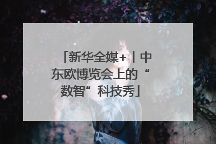 新华全媒+丨中东欧博览会上的“数智”科技秀