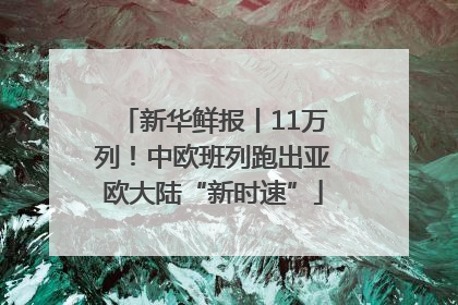 新华鲜报丨11万列！中欧班列跑出亚欧大陆“新时速”