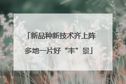 新品种新技术齐上阵 多地一片好“丰”景