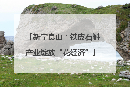 新宁崀山：铁皮石斛产业绽放“花经济”