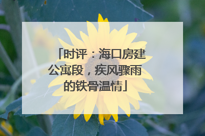 时评：海口房建公寓段，疾风骤雨的铁骨温情