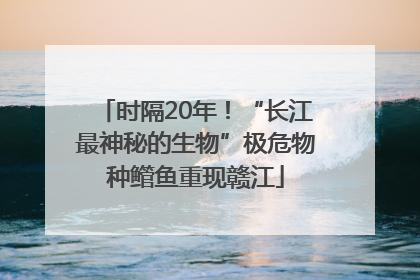 时隔20年！“长江最神秘的生物”极危物种鳤鱼重现赣江