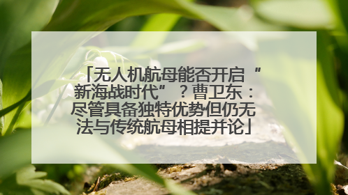 无人机航母能否开启“新海战时代”？曹卫东：尽管具备独特优势但仍无法与传统航母相提并论