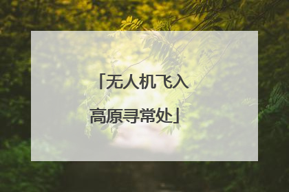 无人机飞入高原寻常处