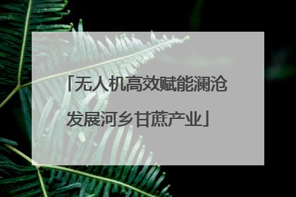 无人机高效赋能澜沧发展河乡甘蔗产业