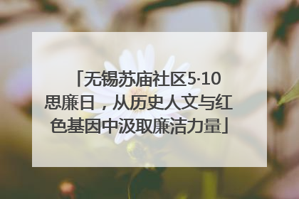 无锡苏庙社区5·10思廉日，从历史人文与红色基因中汲取廉洁力量