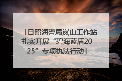 日照海警局岚山工作站扎实开展“碧海蓝盾2025”专项执法行动