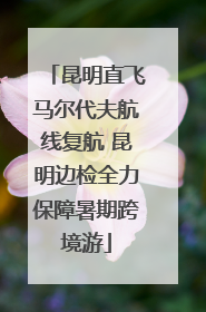 昆明直飞马尔代夫航线复航 昆明边检全力保障暑期跨境游