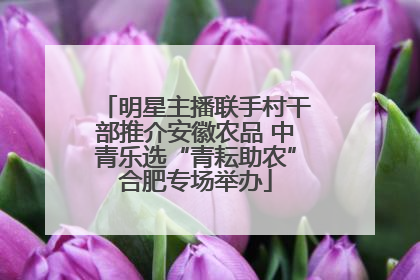 明星主播联手村干部推介安徽农品 中青乐选“青耘助农”合肥专场举办