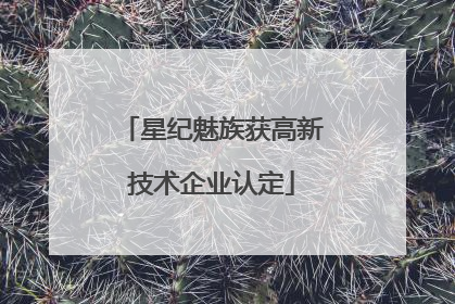 星纪魅族获高新技术企业认定