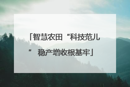 智慧农田“科技范儿” 稳产增收根基牢