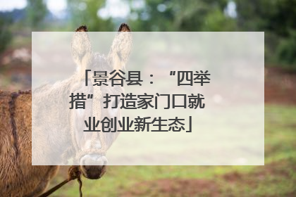 景谷县：“四举措”打造家门口就业创业新生态