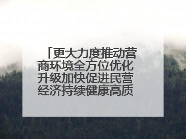 更大力度推动营商环境全方位优化升级加快促进民营经济持续健康高质量发展