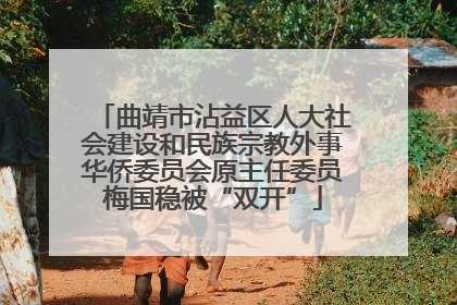 曲靖市沾益区人大社会建设和民族宗教外事华侨委员会原主任委员梅国稳被“双开”