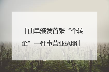 曲阜颁发首张“个转企”一件事营业执照