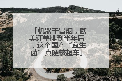 机器干冒烟，欧美订单排到半年后，这个国产“益生菌”真硬核超车