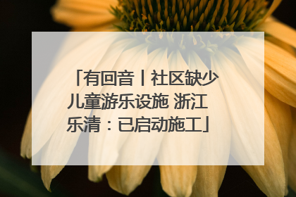 有回音丨社区缺少儿童游乐设施 浙江乐清：已启动施工