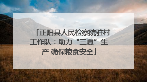 正阳县人民检察院驻村工作队：助力“三夏”生产 确保粮食安全
