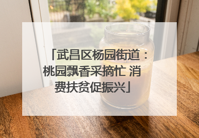 武昌区杨园街道：桃园飘香采摘忙 消费扶贫促振兴