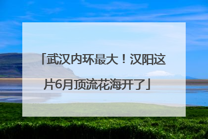 武汉内环最大！汉阳这片6月顶流花海开了