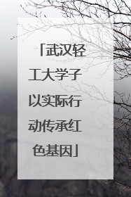 武汉轻工大学子以实际行动传承红色基因
