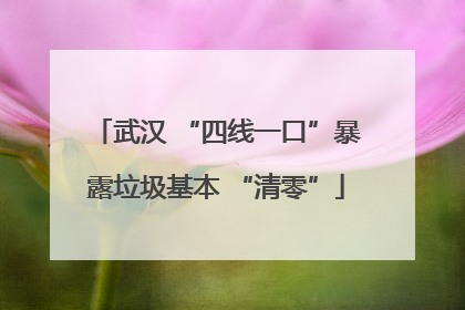 武汉 “四线一口”暴露垃圾基本 “清零”