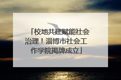 校地共建赋能社会治理！淄博市社会工作学院揭牌成立