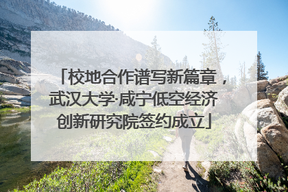 校地合作谱写新篇章，武汉大学·咸宁低空经济创新研究院签约成立