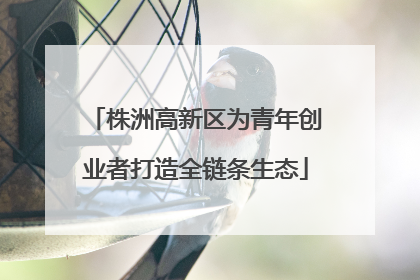 株洲高新区为青年创业者打造全链条生态