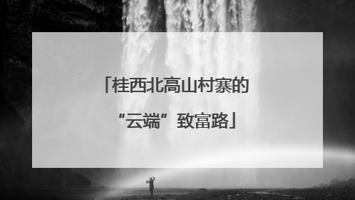 桂西北高山村寨的“云端”致富路