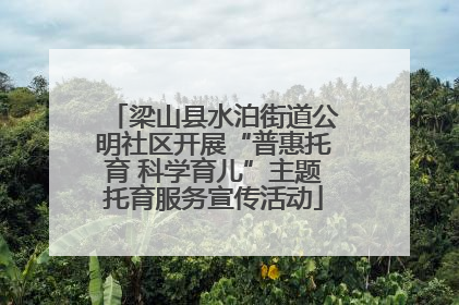 梁山县水泊街道公明社区开展“普惠托育 科学育儿”主题托育服务宣传活动