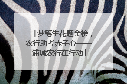 梦笔生花题金榜，农行助考赤子心——浦城农行在行动