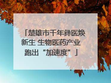楚雄市千年彝医焕新生 生物医药产业跑出“加速度”