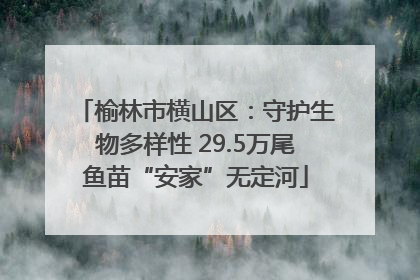 榆林市横山区：守护生物多样性 29.5万尾鱼苗“安家”无定河