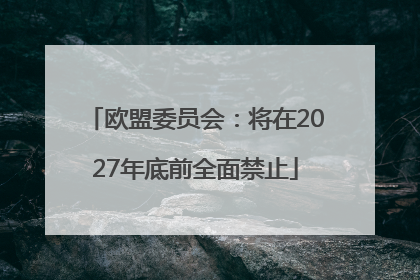 欧盟委员会：将在2027年底前全面禁止
