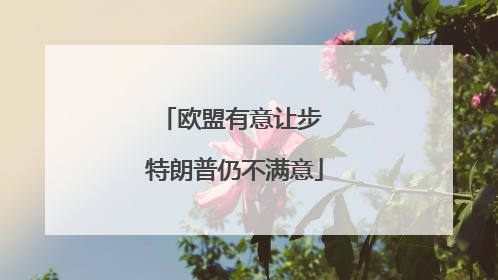 欧盟有意让步 特朗普仍不满意